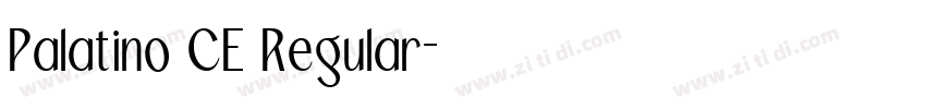 Palatino CE Regular字体转换 Palatino CE Regular字体转换